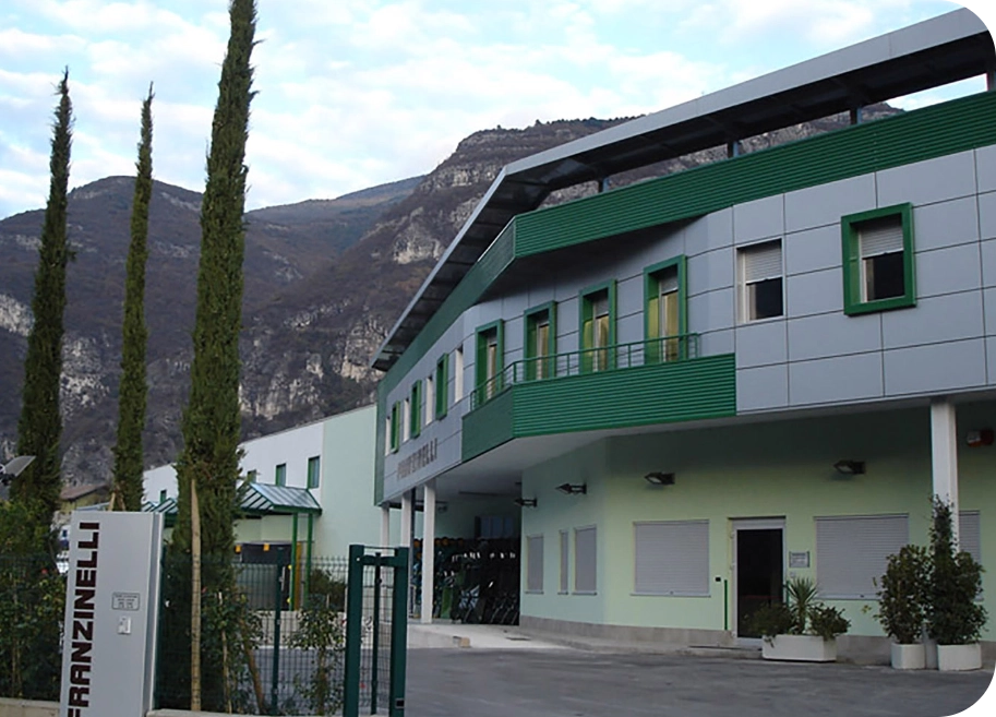 Copertina Franzinelli Vigilio s.r.l